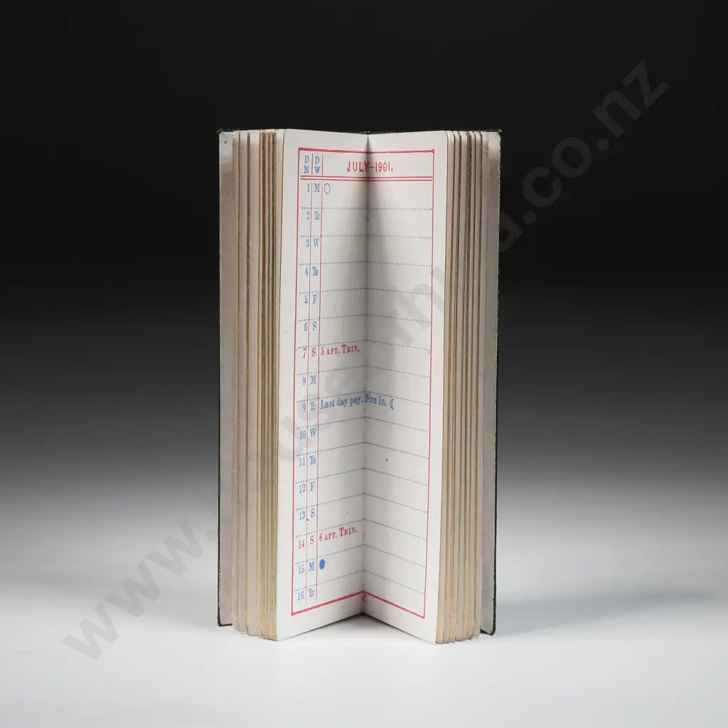 Immaculate 1901 Leather Bound Pocket Condensed Diary - Unused Image 1++