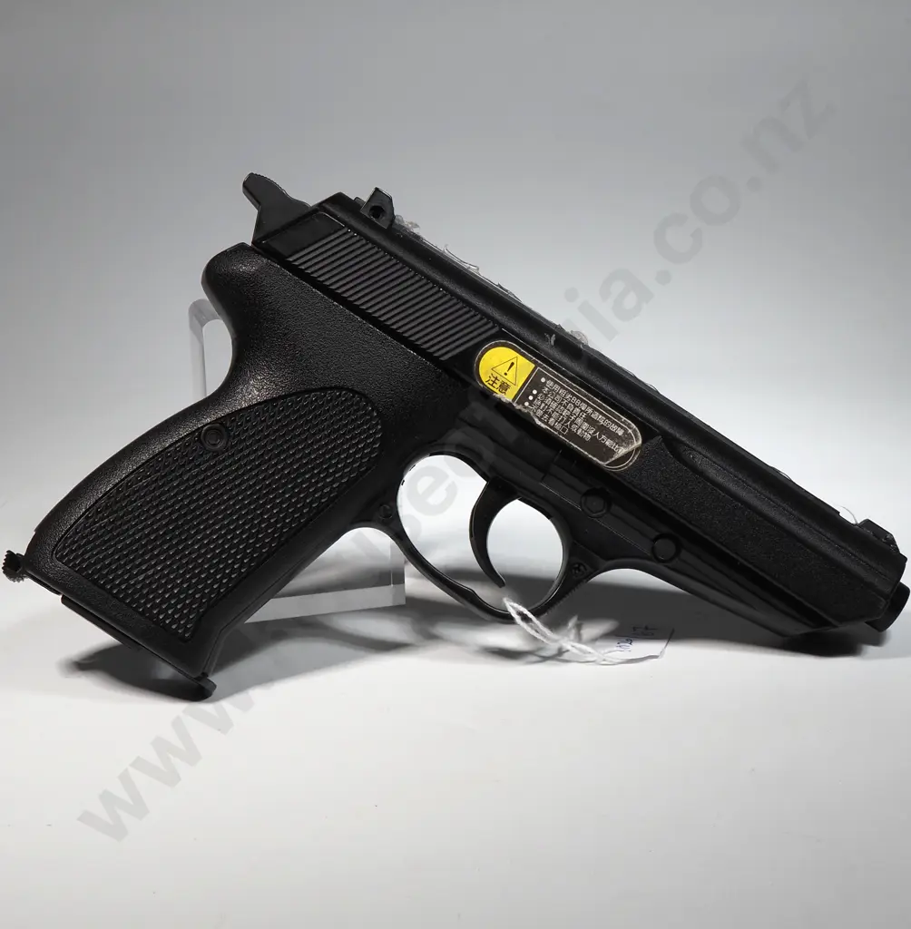 Walther P5 BB Gun Image 1++