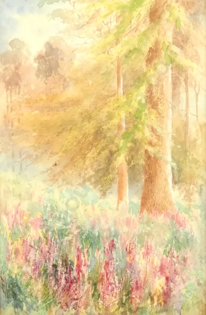 Ellis Rowan - Forest Scene, Watercolour (Artist Name Amended) Image 1++