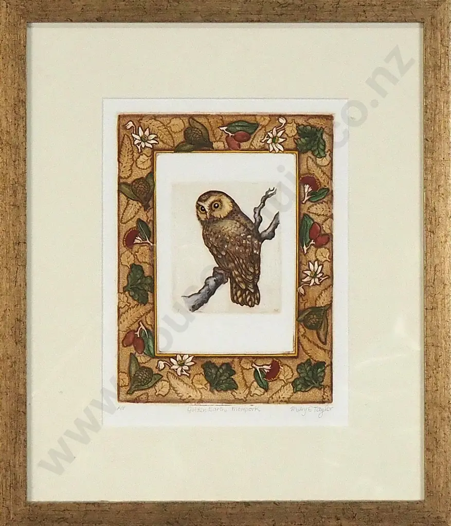 Mary E Taylor - Golden Earth Morepork, Hand-coloured Etching Image 1++