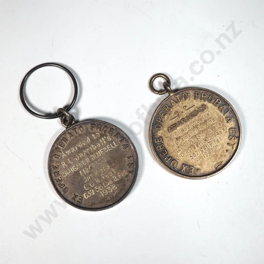 Two Silver Plate Jersey Cattle Breeders Medals  Image 1++