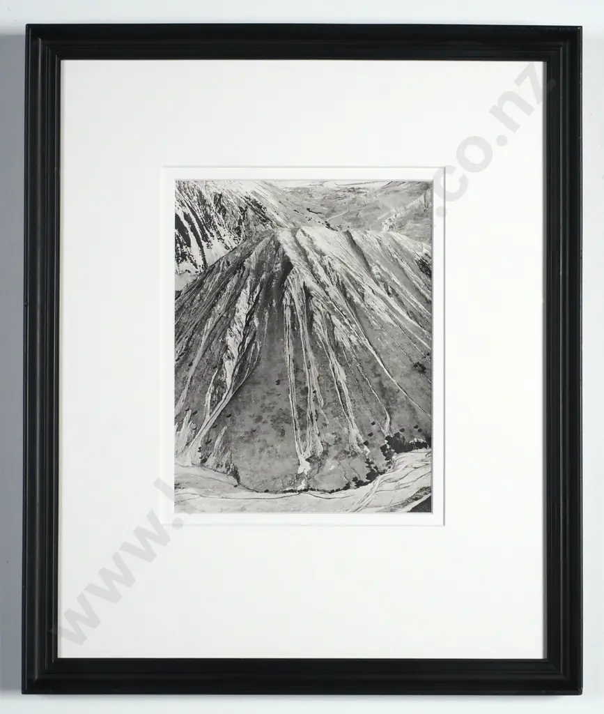 John Johns - Mt Fitzwilliam, Harper Avoca Forest, Canterbury, Gelatin Silver Photograph Image 1++