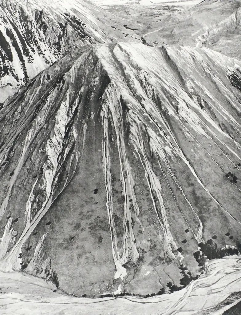 John Johns - Mt Fitzwilliam, Harper Avoca Forest, Canterbury, Gelatin Silver Photograph Image 1++