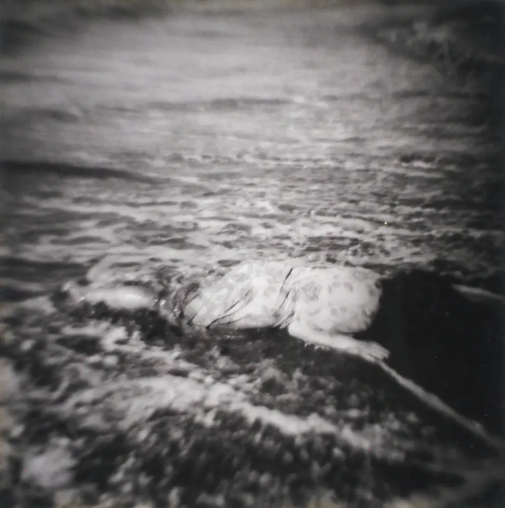 Peter Peryer - Drowned Woman (from Gone Home), Silver Gelatin Photograph LE 3/20 (1975) Image 1++