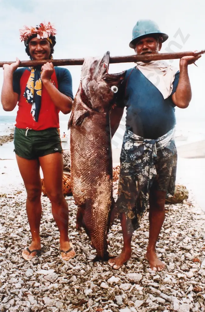 Glenn Jowitt - Food for the whole village, Nukunonu, Tokelau, Cibachrome Photograph (1981) Image 1++
