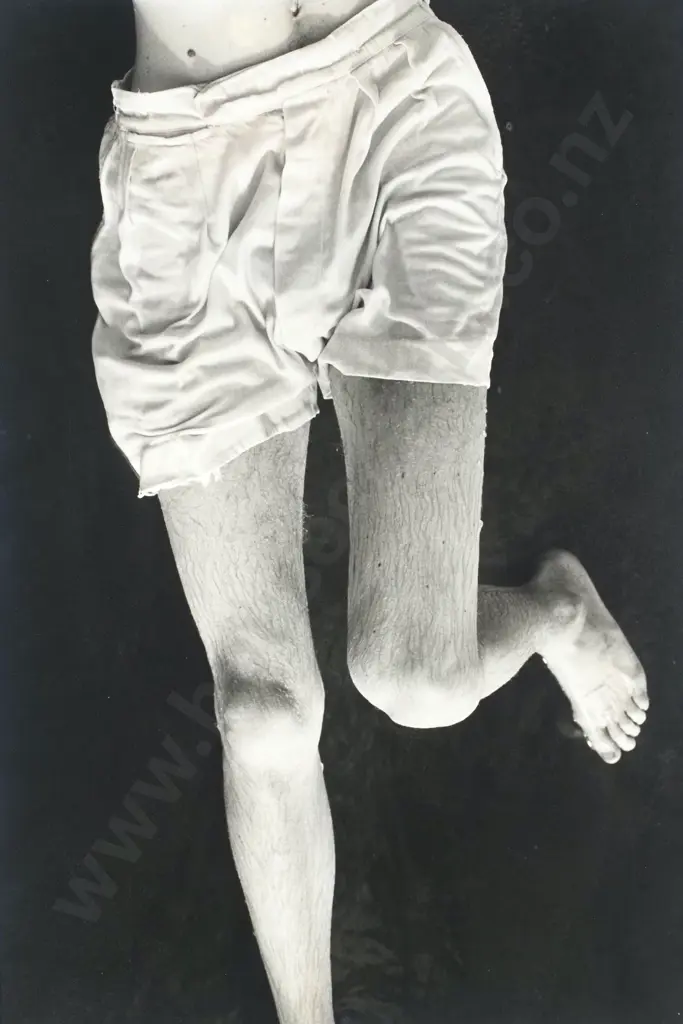 Fiona Pardington - 'The Sudden Fall', Silver Gelatin Photographic Triptych (c. 1990) Image 1++