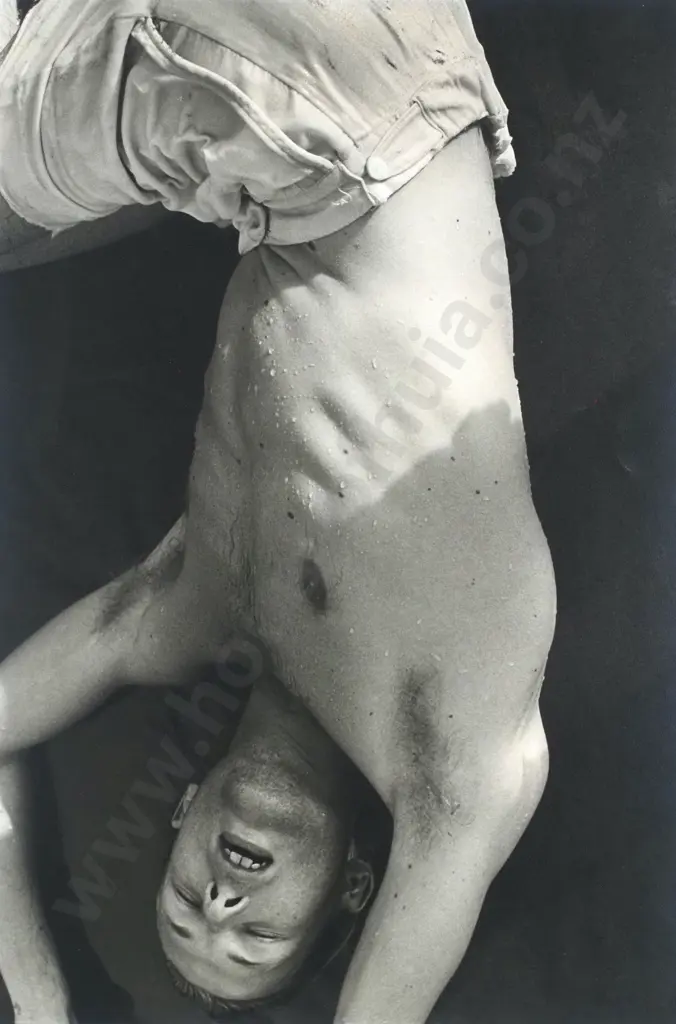 Fiona Pardington - 'The Sudden Fall', Silver Gelatin Photographic Triptych (c. 1990) Image 1++