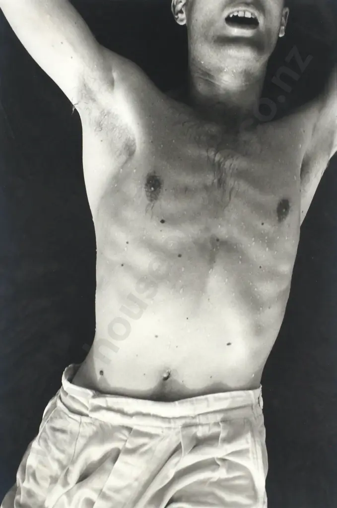 Fiona Pardington - 'The Sudden Fall', Silver Gelatin Photographic Triptych (c. 1990) Image 1++
