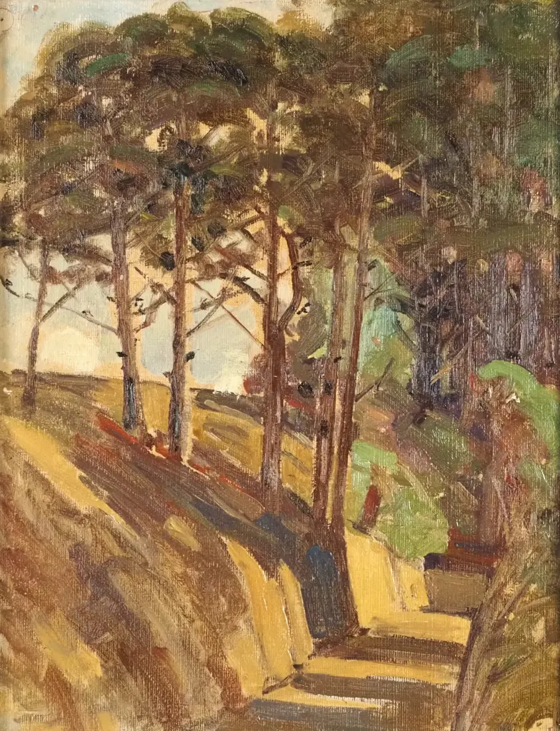 Artist Unkown - New Zealand Landscape Scene, Oil on canvasboard (c. 1930) Image 1++