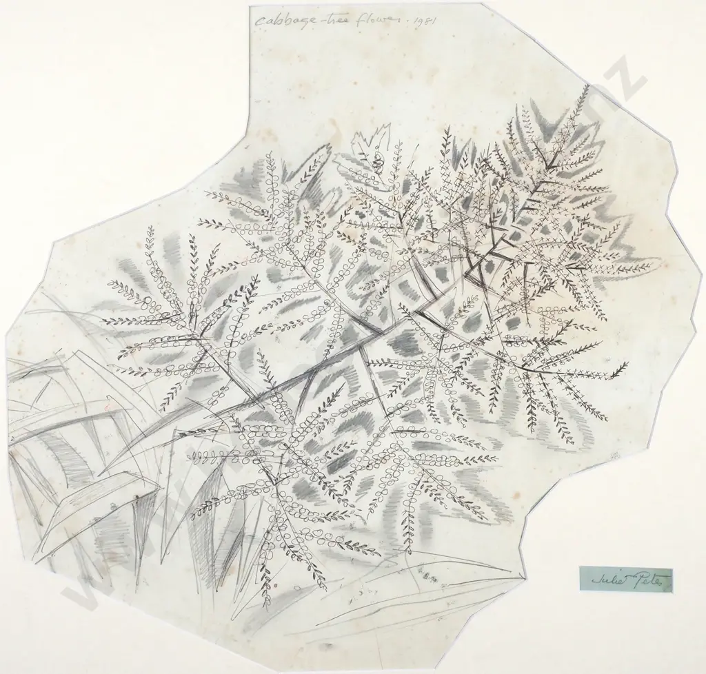 Juliet Peter - Cabbage-Tree Flower, Graphite and ballpoint (1981) Image 1++