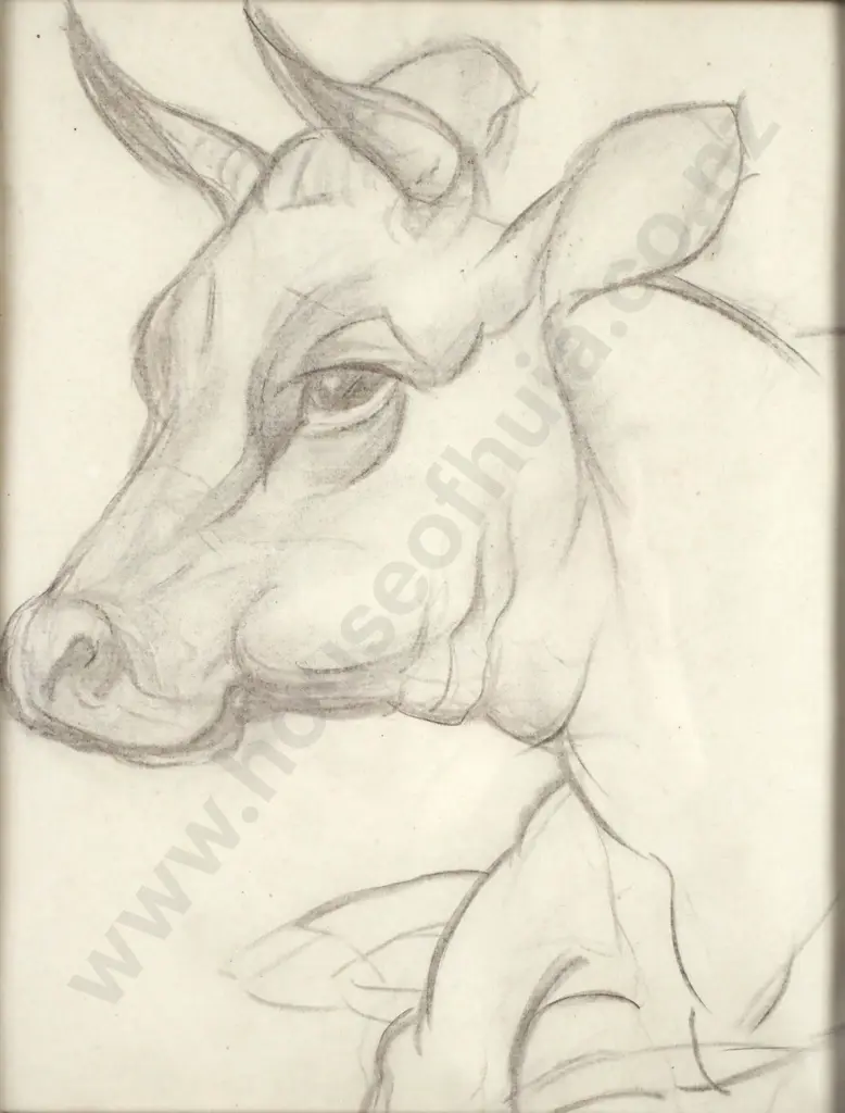 John Weeks -  Bovine Study, Conté (c. 1930)  Image 1++