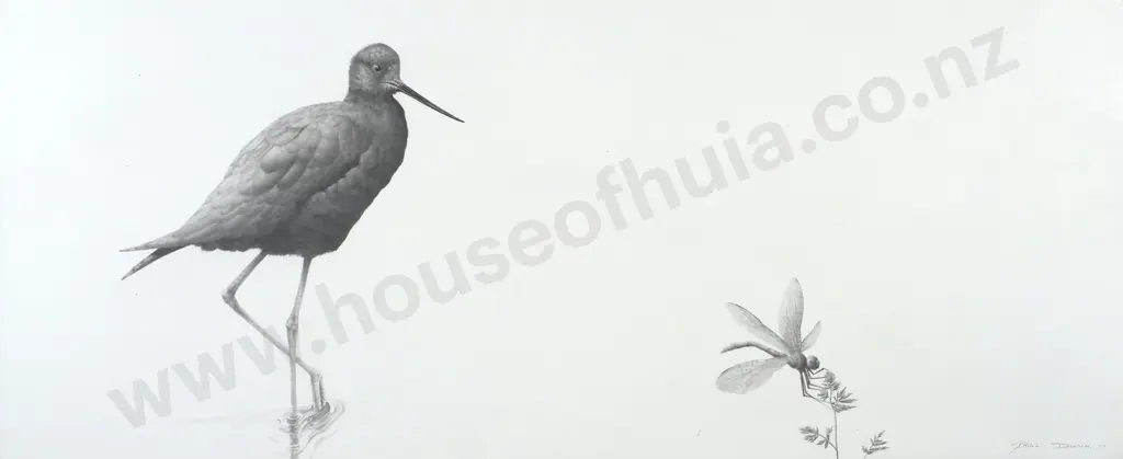 Phill Dunn - 'Black Stilt', Pencil on Painted Board (2017) Image 1++
