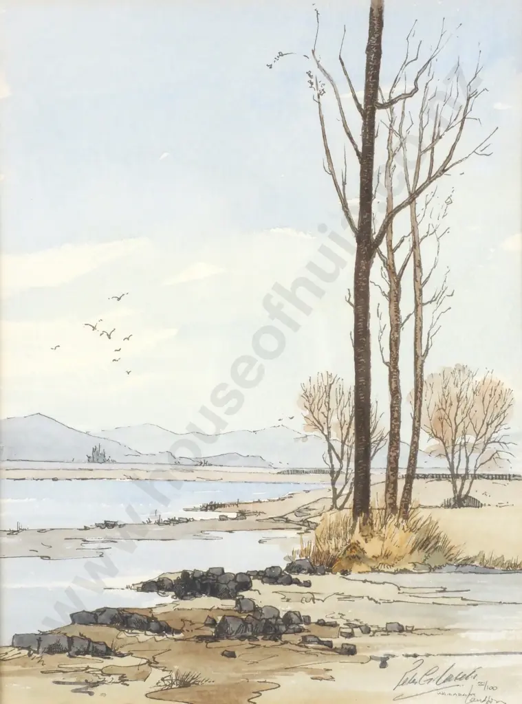 Peter G Leitch - 'Wairarapa Landfall', Ltd Ed Print 22/100 Image 1++