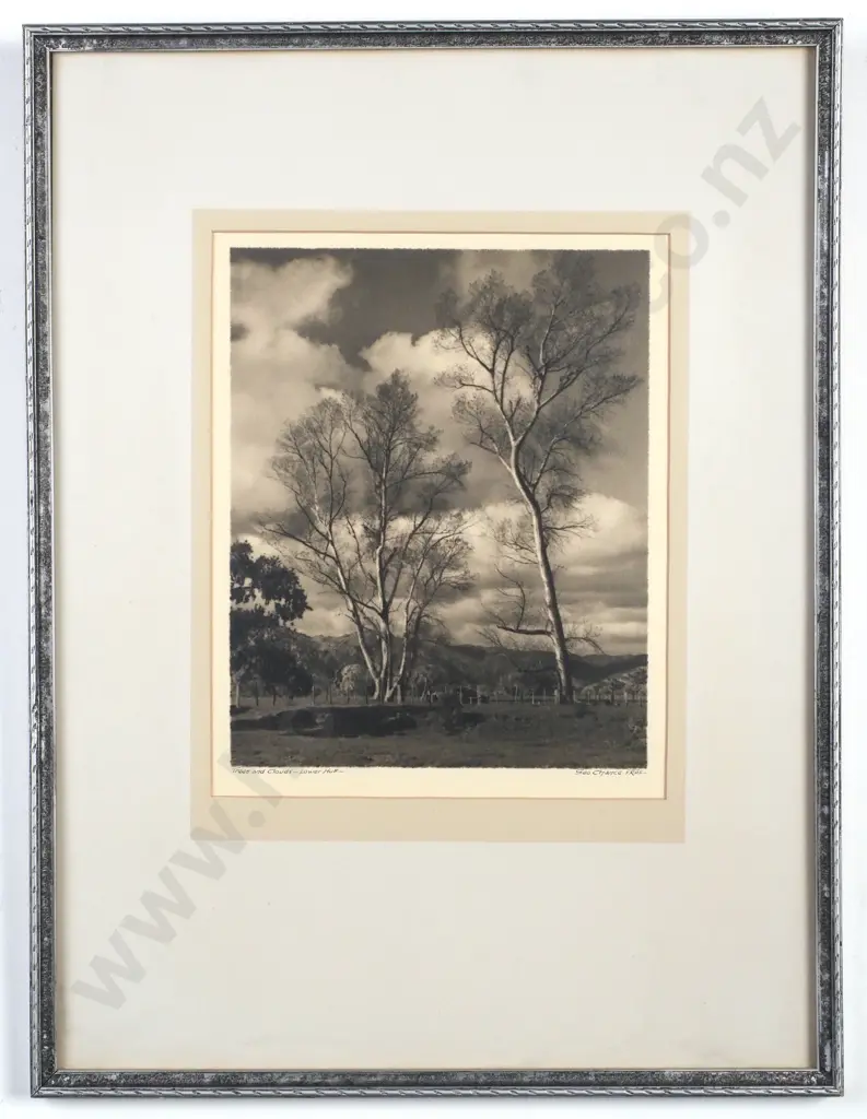 George Chance - Tree & Clouds Lower Hutt, Silver Gelatin Print Image 1++
