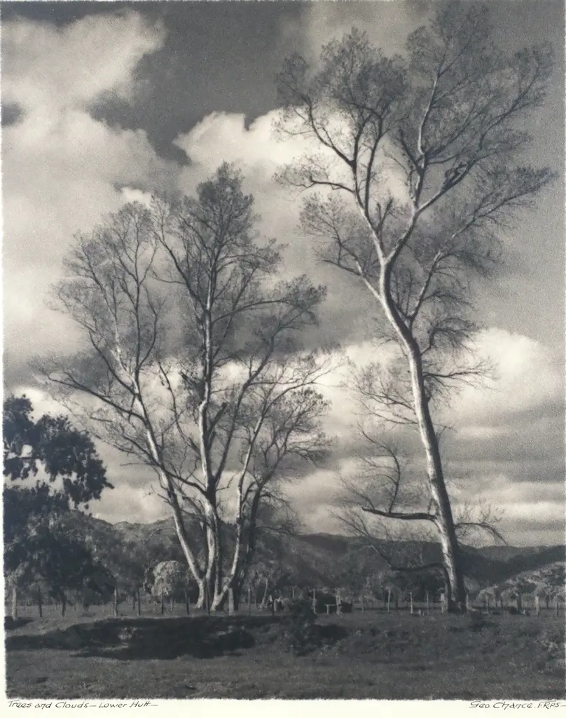 George Chance - Tree & Clouds Lower Hutt, Silver Gelatin Print Image 1++