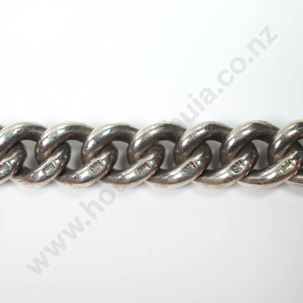 Impressive Antique Sterling Silver Fob Chain w Enamel Lion Crested Fob Image 1++