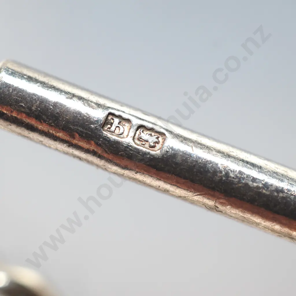 Impressive Antique Sterling Silver Fob Chain w Enamel Lion Crested Fob Image 1++