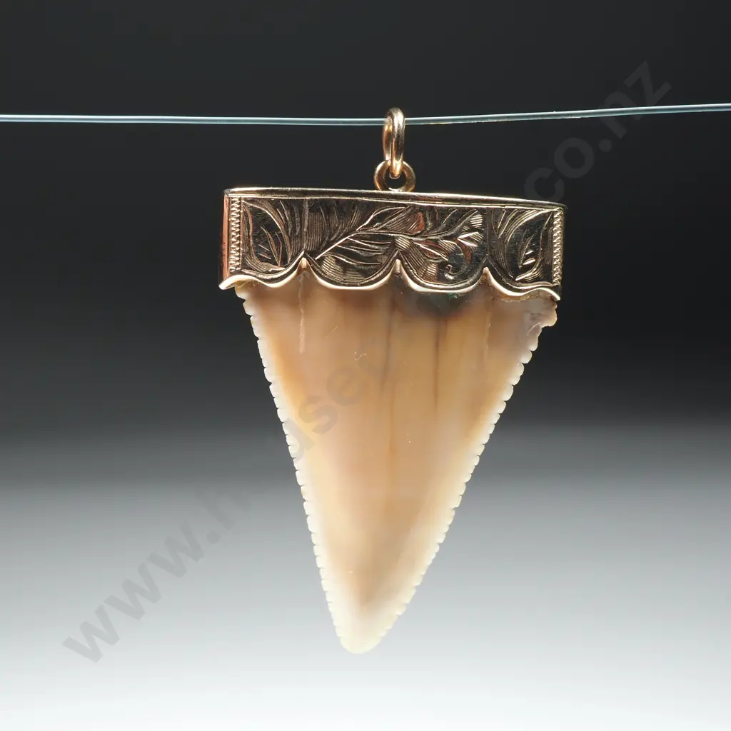Colonial 9ct Gold Topped Shark Tooth Pendant Image 1++