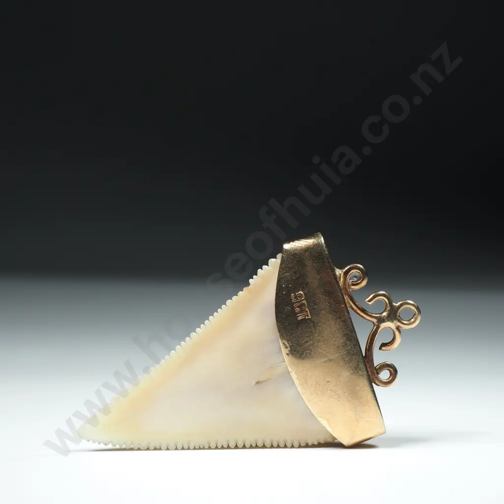 Colonial New Zealand 9ct Gold & Shark Tooth Pendant Image 1++