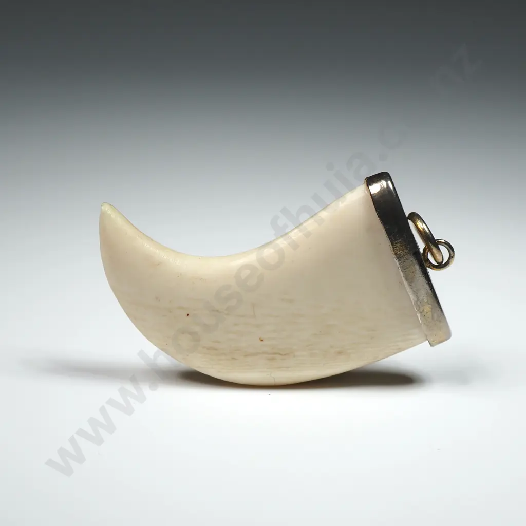Vintage Bone Claw Style Pendant Image 1++