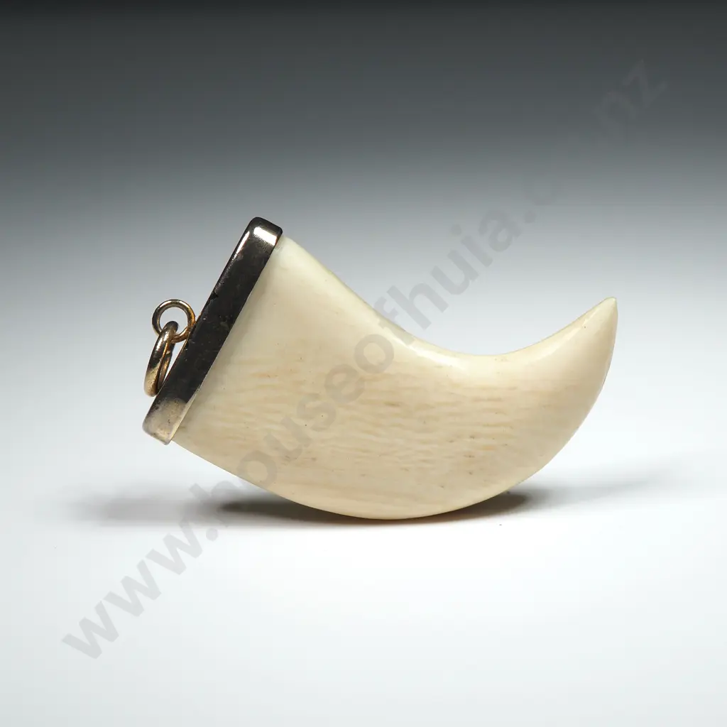Vintage Bone Claw Style Pendant Image 1++