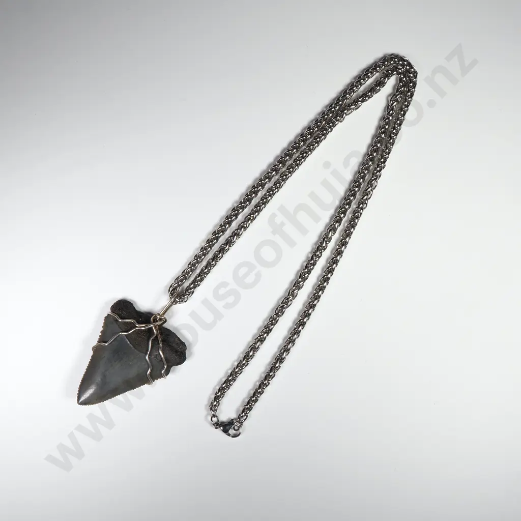 Megalodon Tooth on Stainless Steel Wheat Link Chain Image 1++