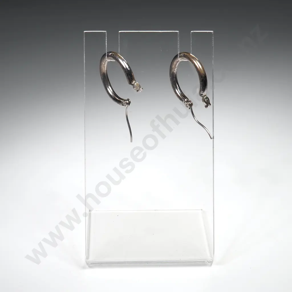 Pair of Hoop Earrings Image 1++