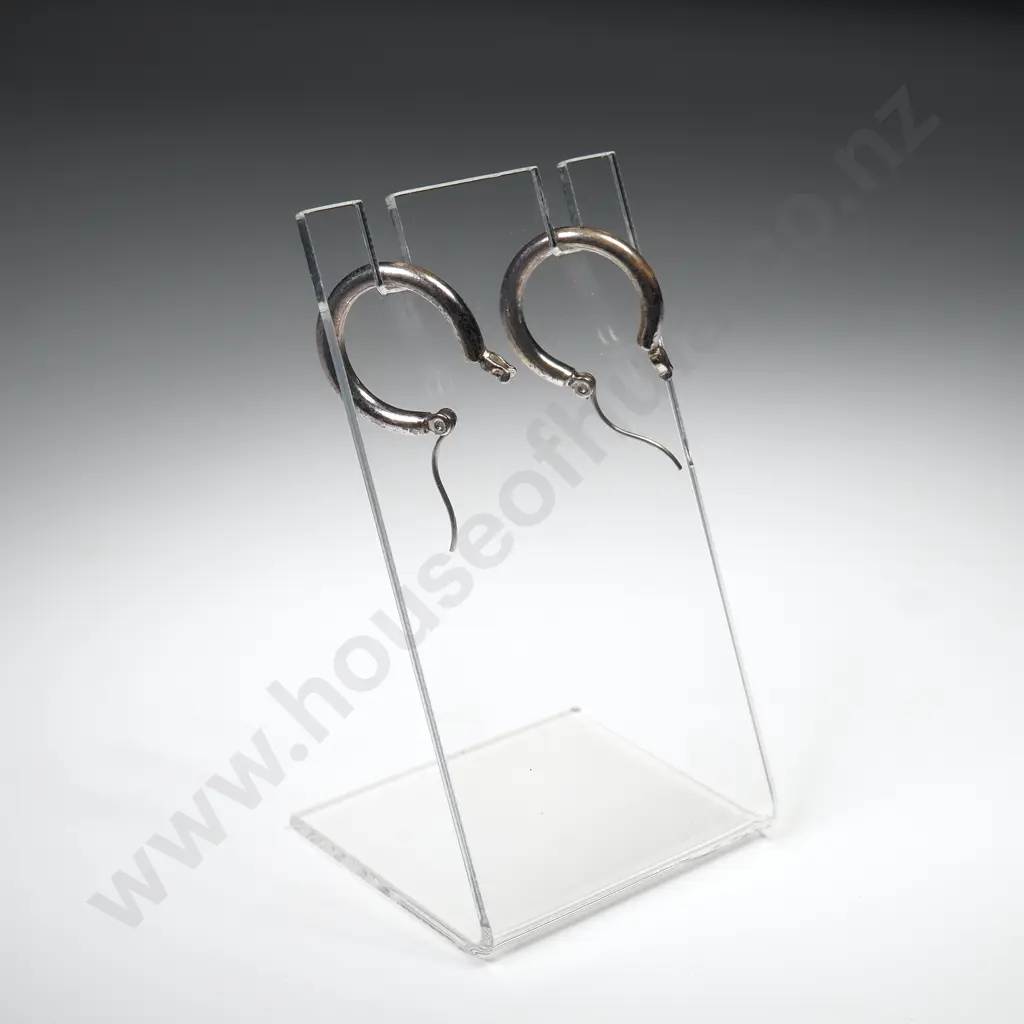 Pair of Hoop Earrings Image 1++