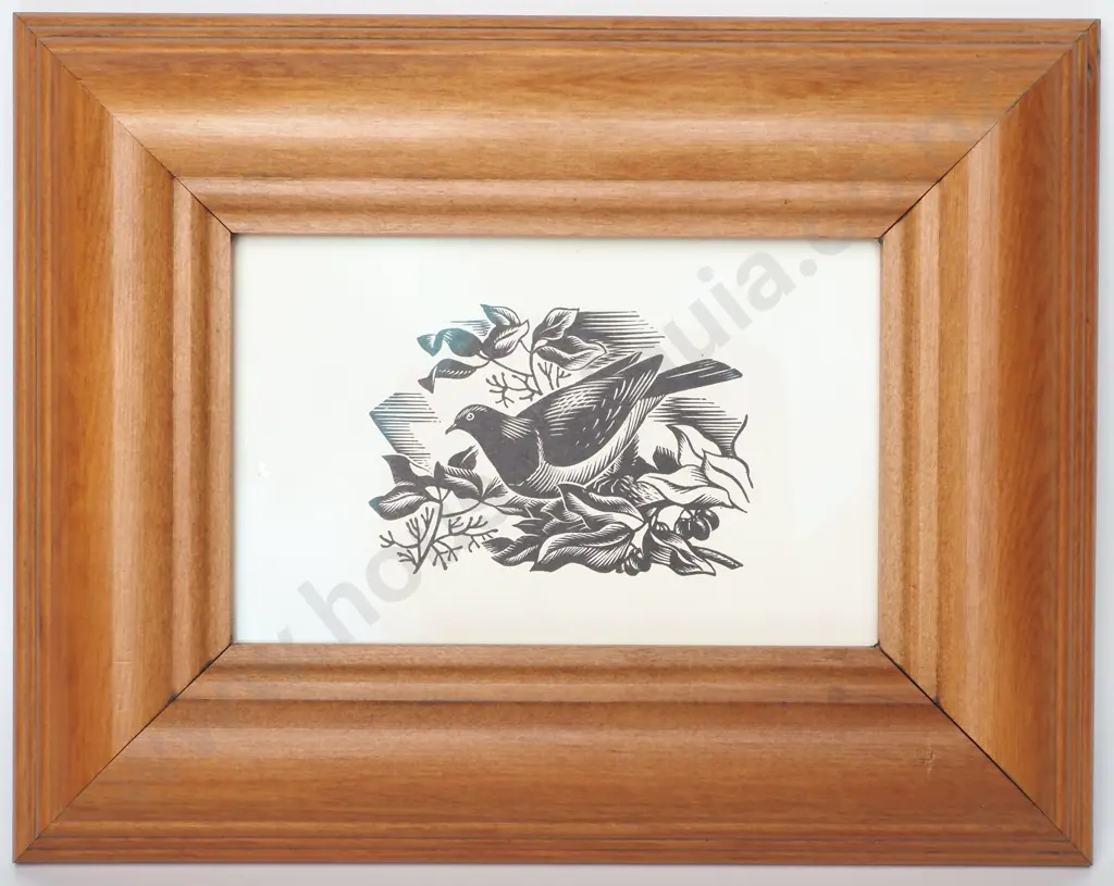 E Mervyn Taylor- Bush Pigeon, Original Bookplate Image 1++
