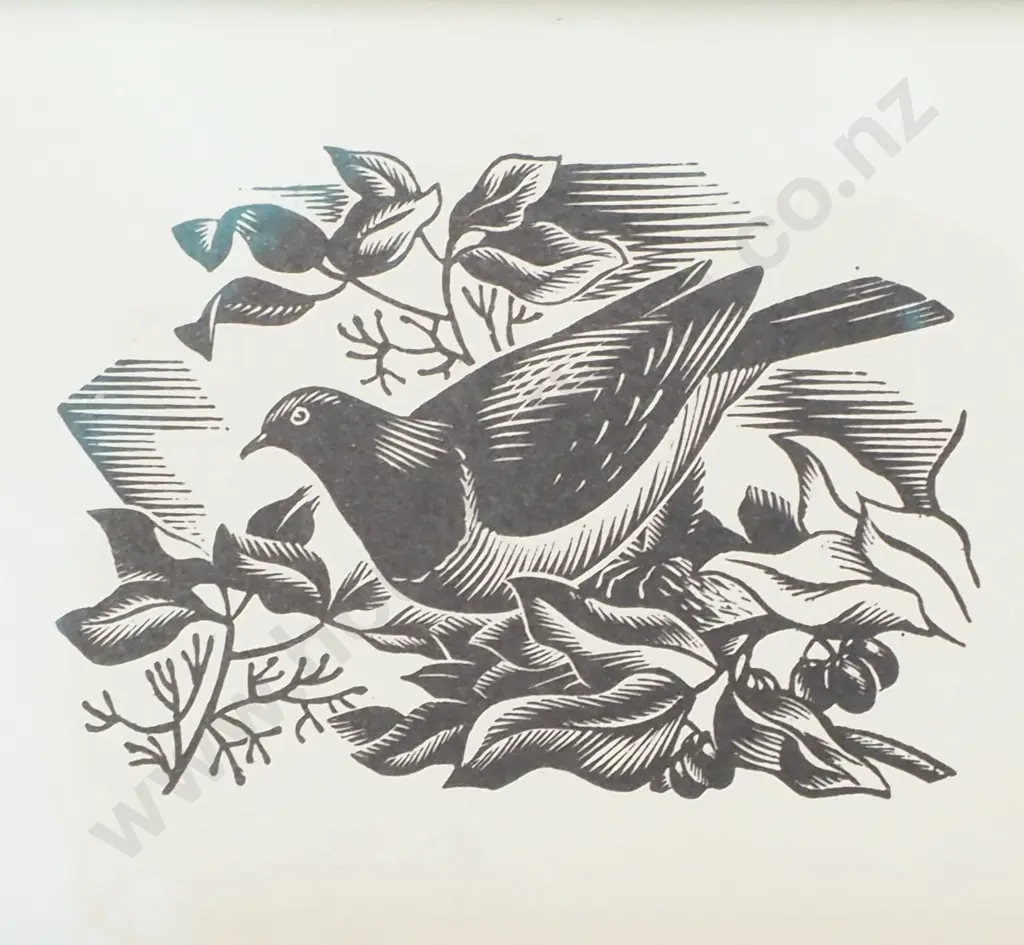 E Mervyn Taylor- Bush Pigeon, Original Bookplate Image 1++