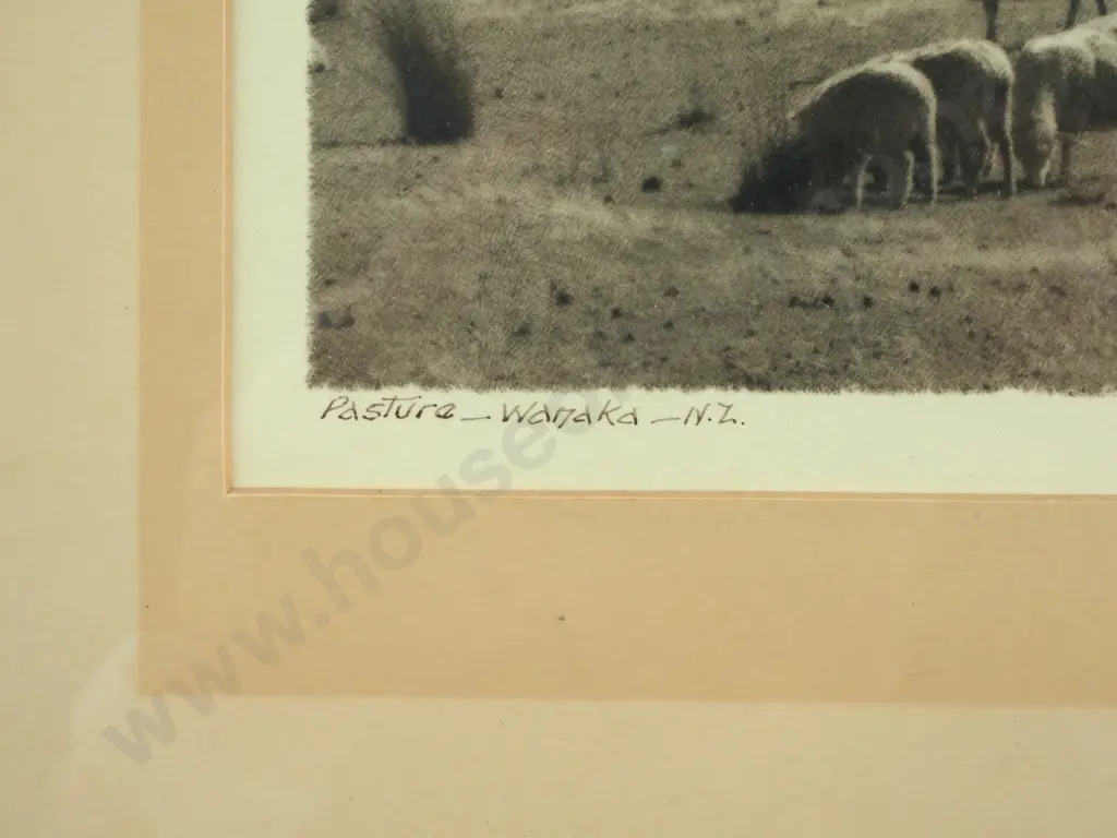George Chance - Pasture, Wanaka, Silver Gelatin Print Image 1++