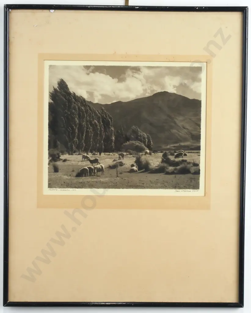 George Chance - Pasture, Wanaka, Silver Gelatin Print Image 1++