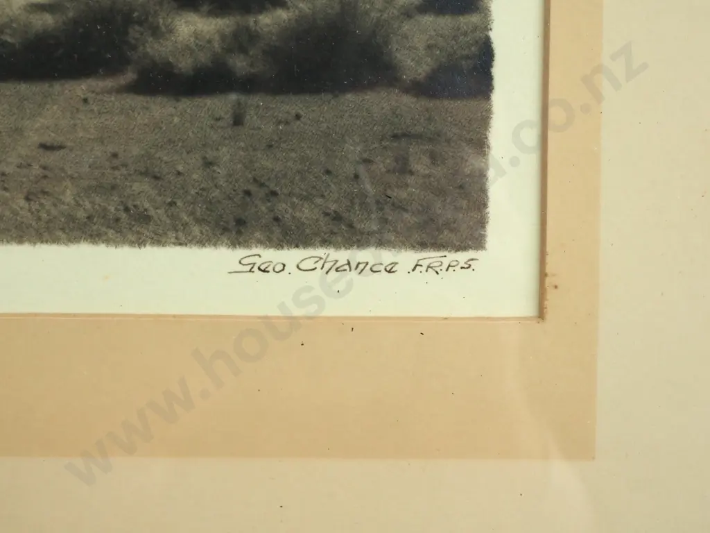 George Chance - Pasture, Wanaka, Silver Gelatin Print Image 1++