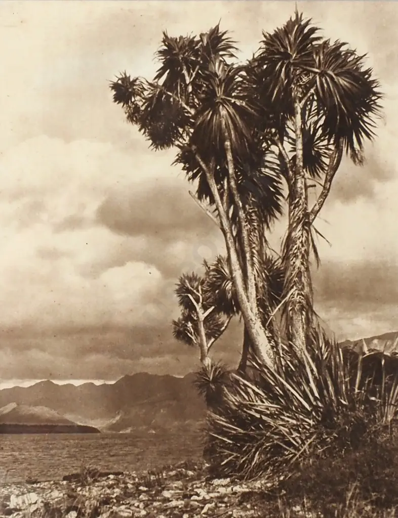 George Chance. The Sentinels (Lake Hawea). Photo Print.  Image 1++