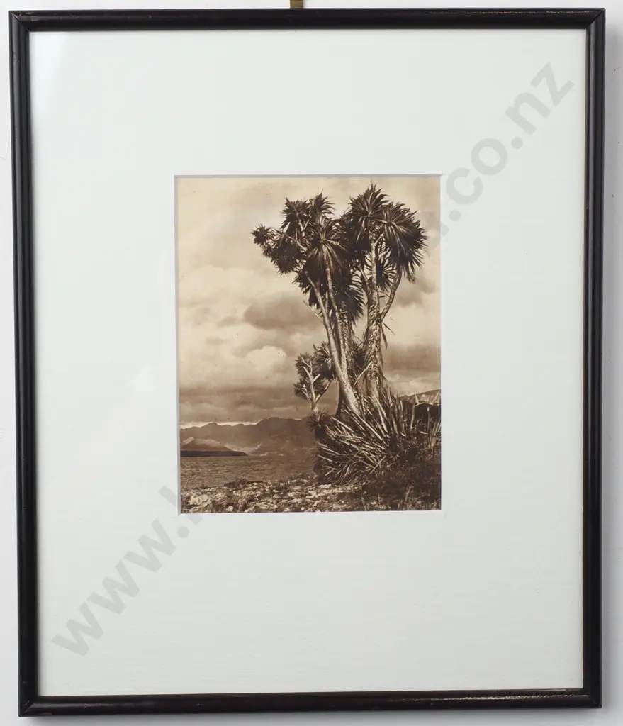 George Chance. The Sentinels (Lake Hawea). Photo Print.  Image 1++