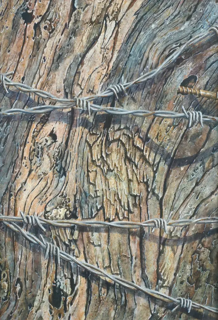 Ngaio - ' Tree bark & Barbed Wire Study', Gouache & Watercolour, 1987 Image 1++