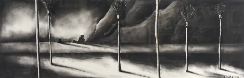 R Matla - Untitled, Charcoal Image 1++