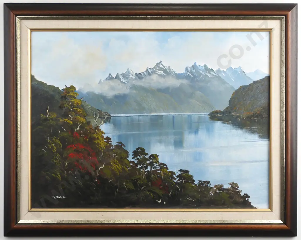 P.G. Hall - "George Sound', Acrylic on Board Image 1++
