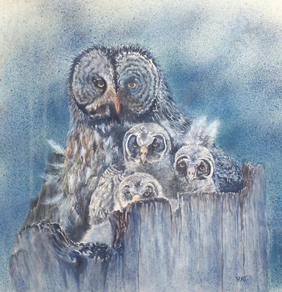 Platt - Owl Family in Tree Stump, Watercolour Image 1++