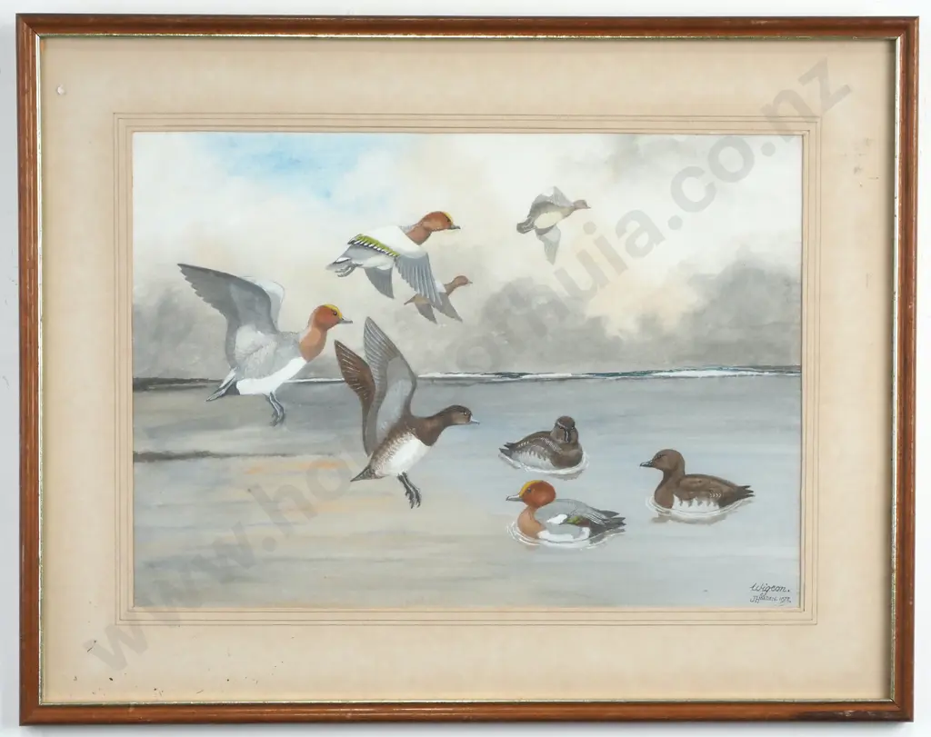 J Holden - Wigeon, Watercolour Image 1++