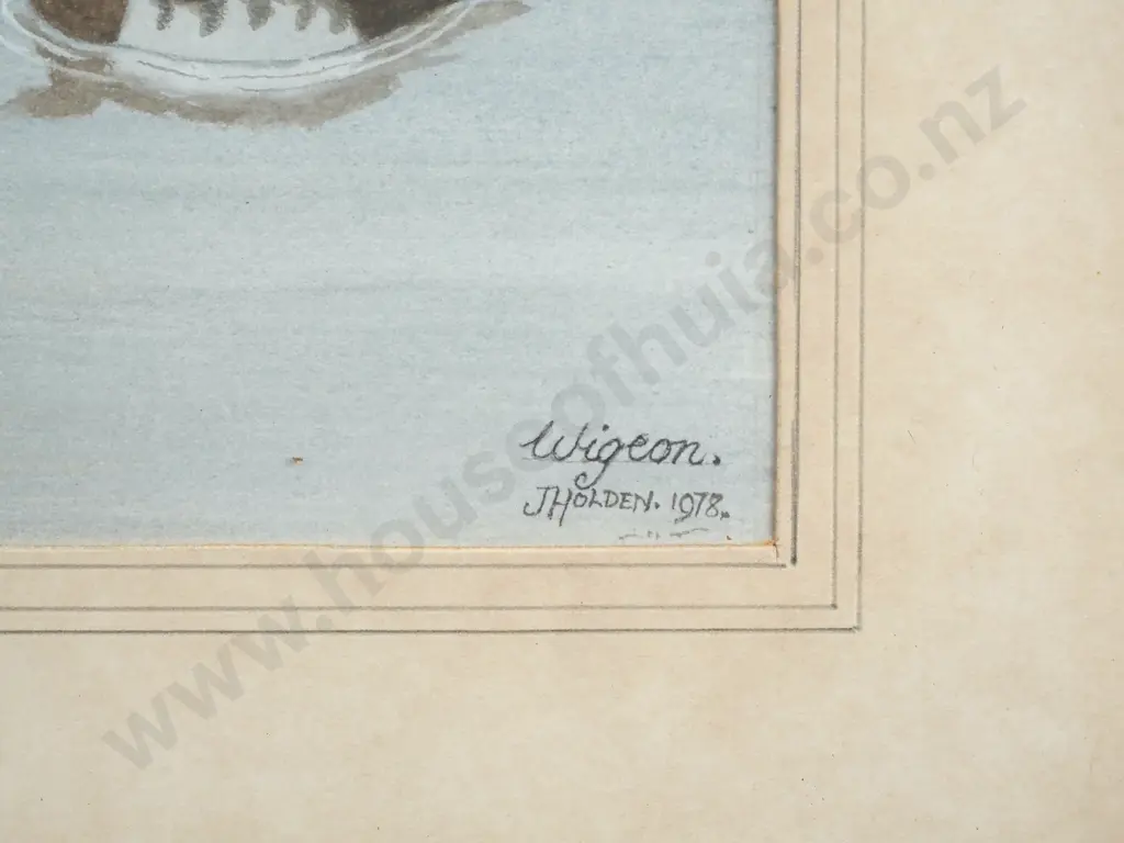 J Holden - Wigeon, Watercolour Image 1++