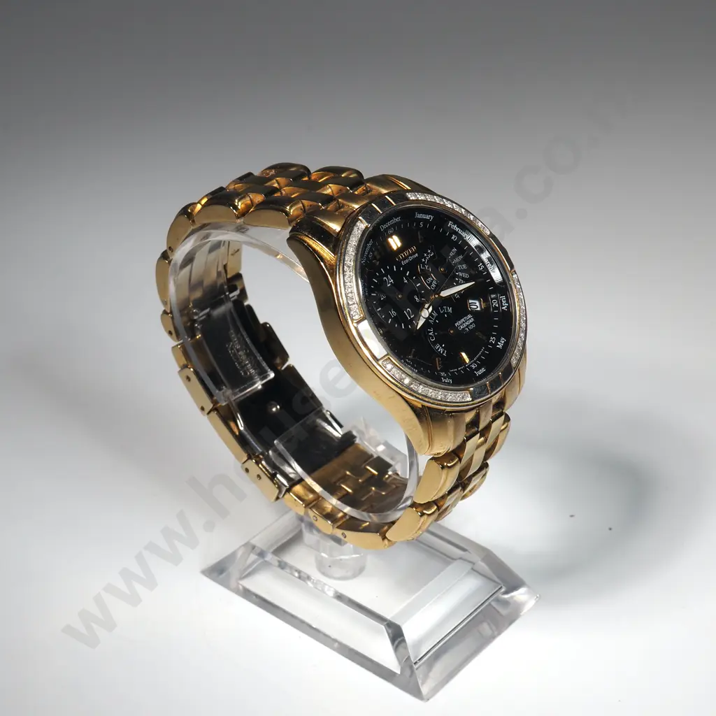 Citizen EcoDrivePerpetual Calendar Wristwatch Image 1++