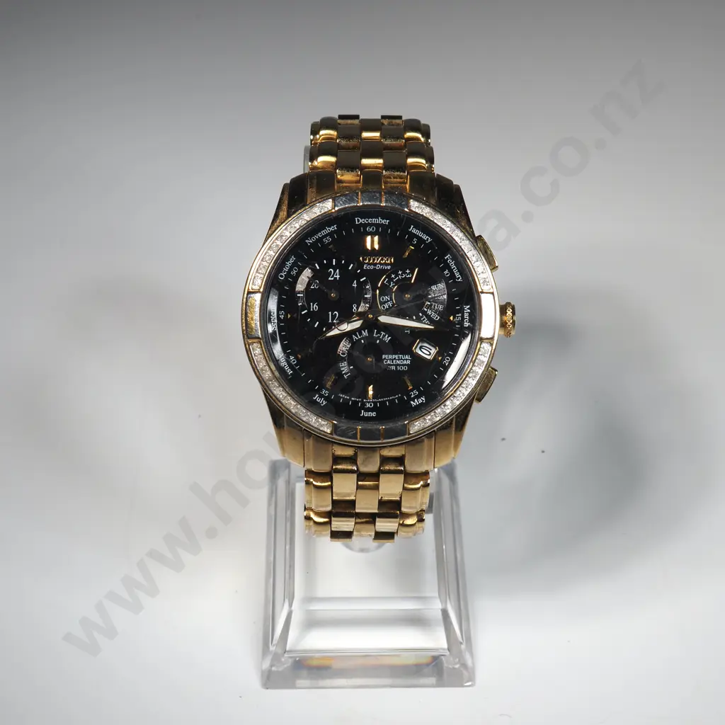 Citizen EcoDrivePerpetual Calendar Wristwatch Image 1++