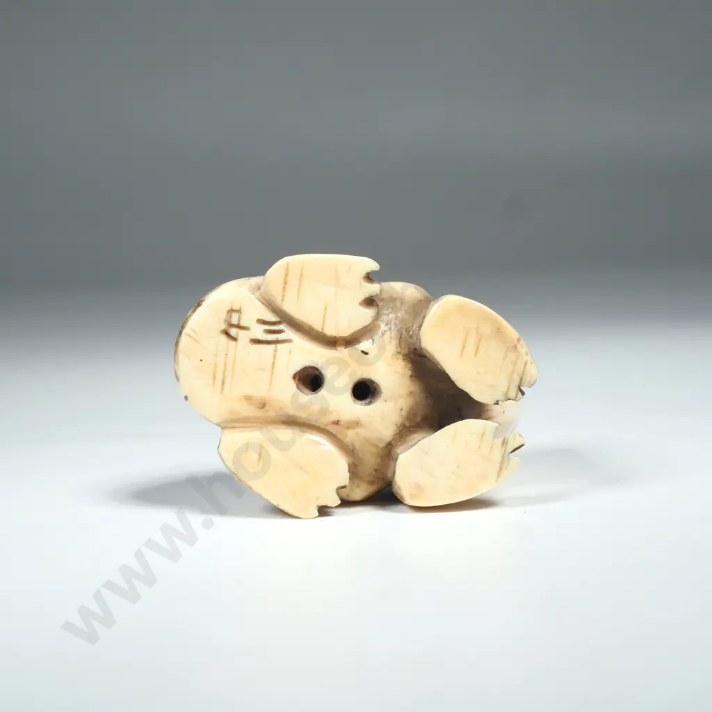Japanese Carved Ivory Netsuke of a Frog Image 1++