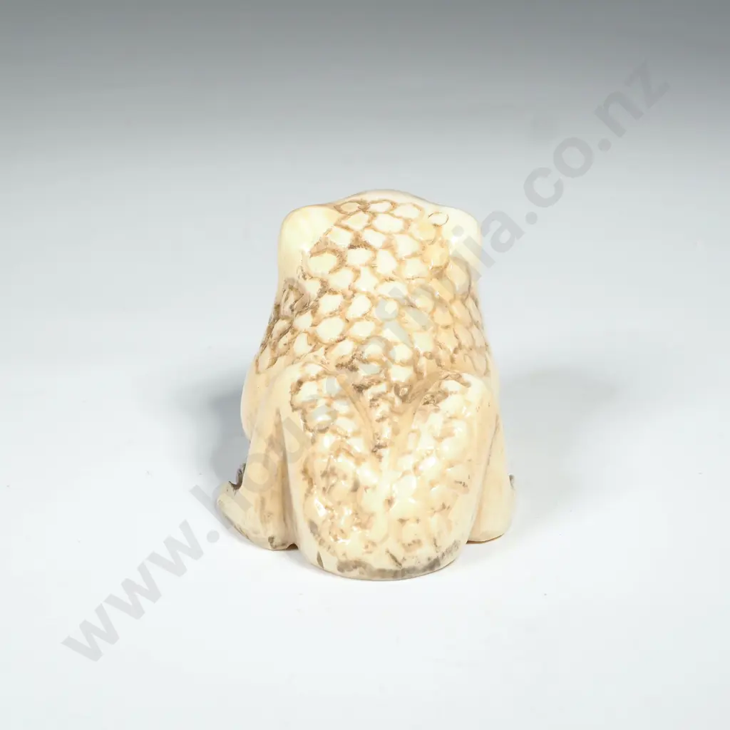 Japanese Carved Ivory Netsuke of a Frog Image 1++