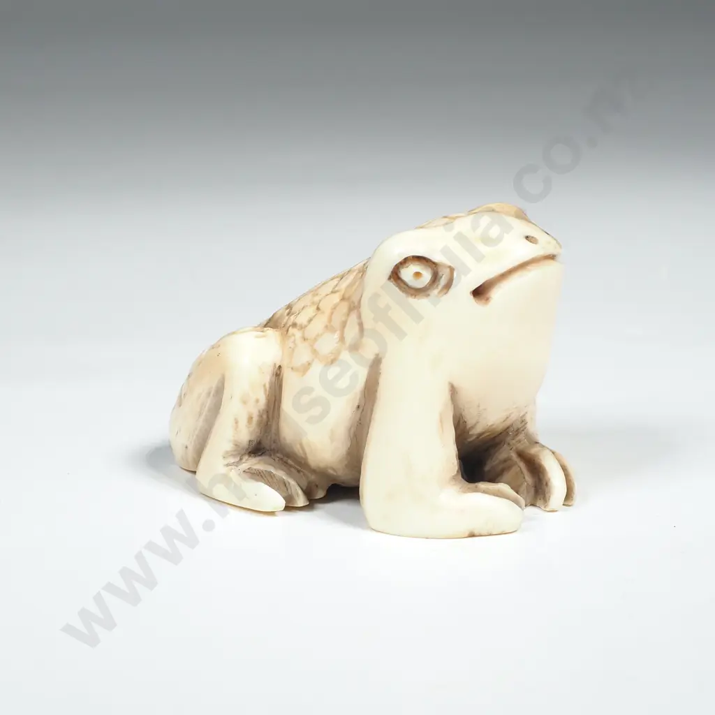 Japanese Carved Ivory Netsuke of a Frog Image 1++