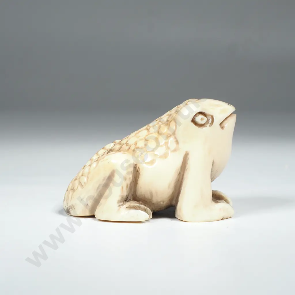 Japanese Carved Ivory Netsuke of a Frog Image 1++