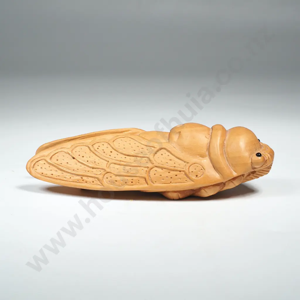 Boxwood Netsuke in the Form of  a Cicada. Signed Image 1++
