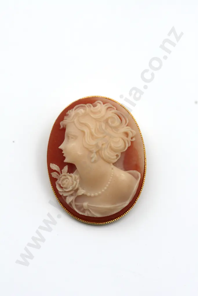 Classic Cameo brooch or Pendant Finely Crafted, Female Head in Profile "Such a rose" Image 1++