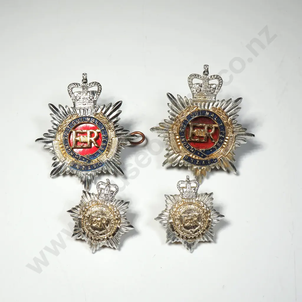 Assorted Anodised Military Badges Image 1++